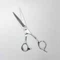 Professional Hair Cutting Shears
