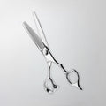 Professional Hair Thinning Shears